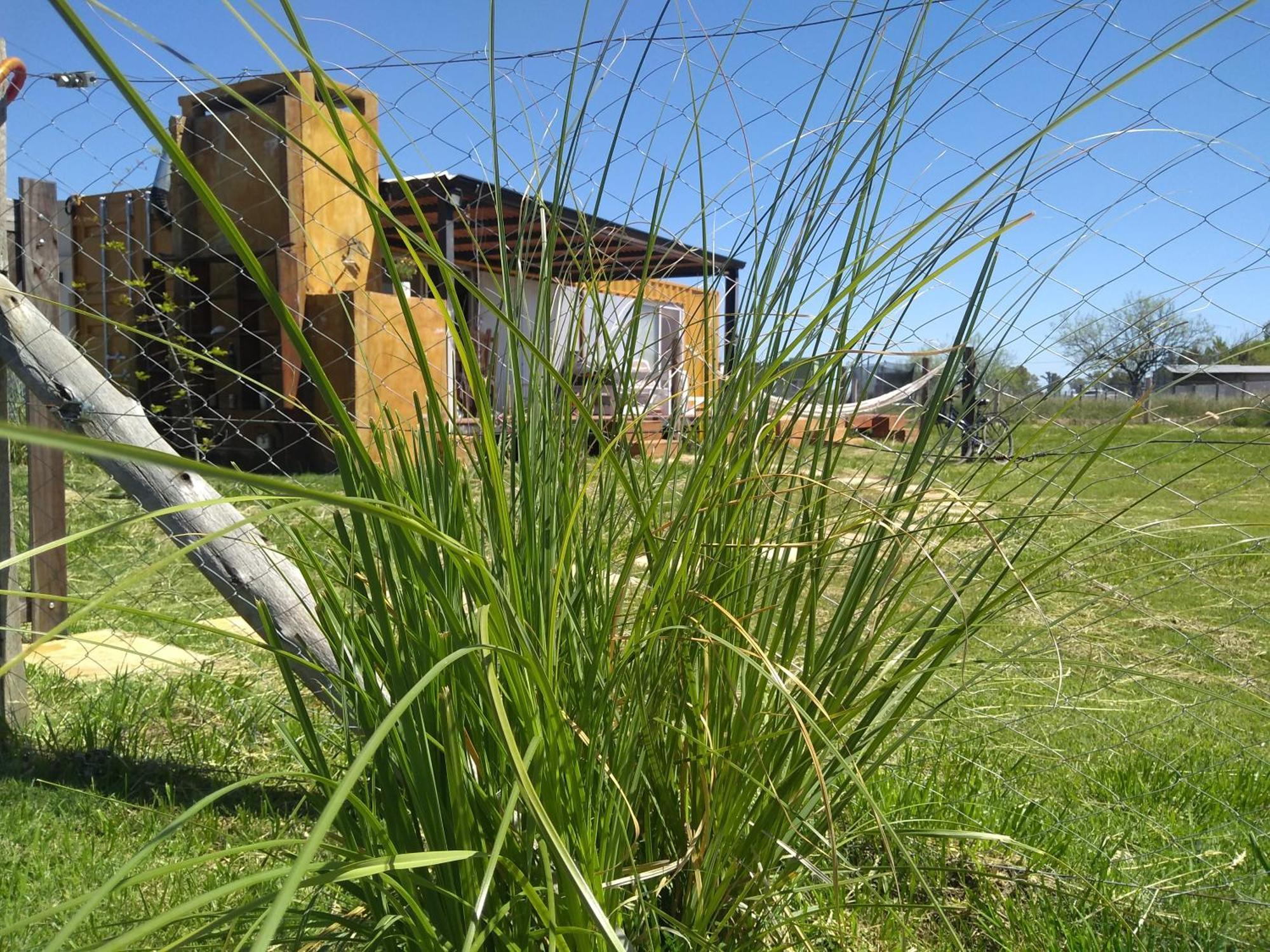 Holiday home Pensamientos Del Alma Uribelarrea